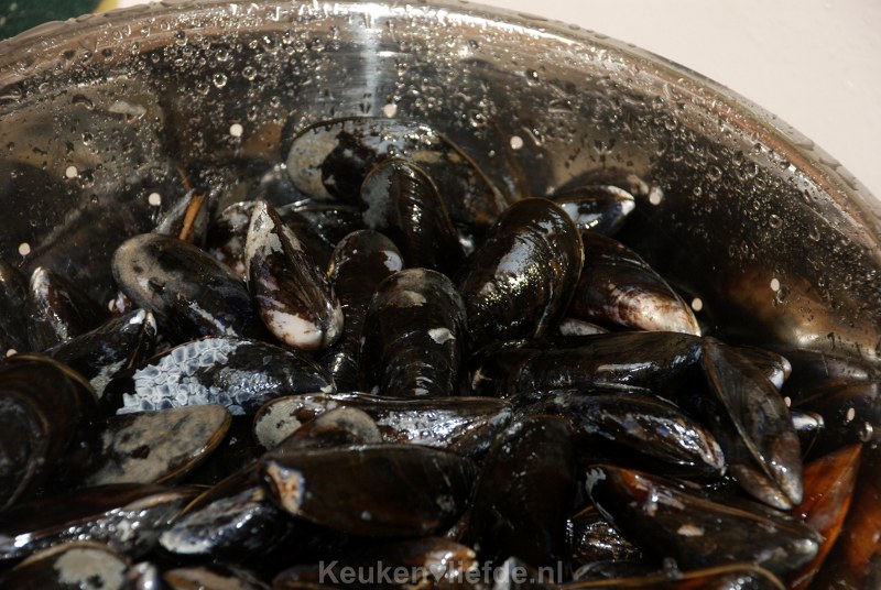 Thaise mosselen met lente-ui en koriandernoedels