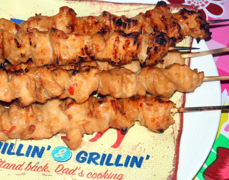 Zelfgemaakte kipsaté (saté ajam)