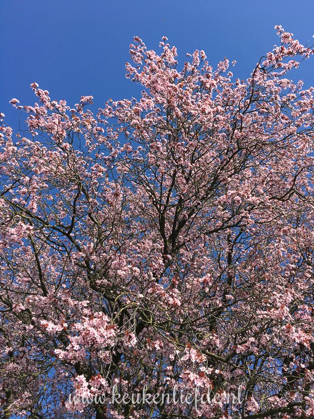 Een kijkje in de keuken week 12