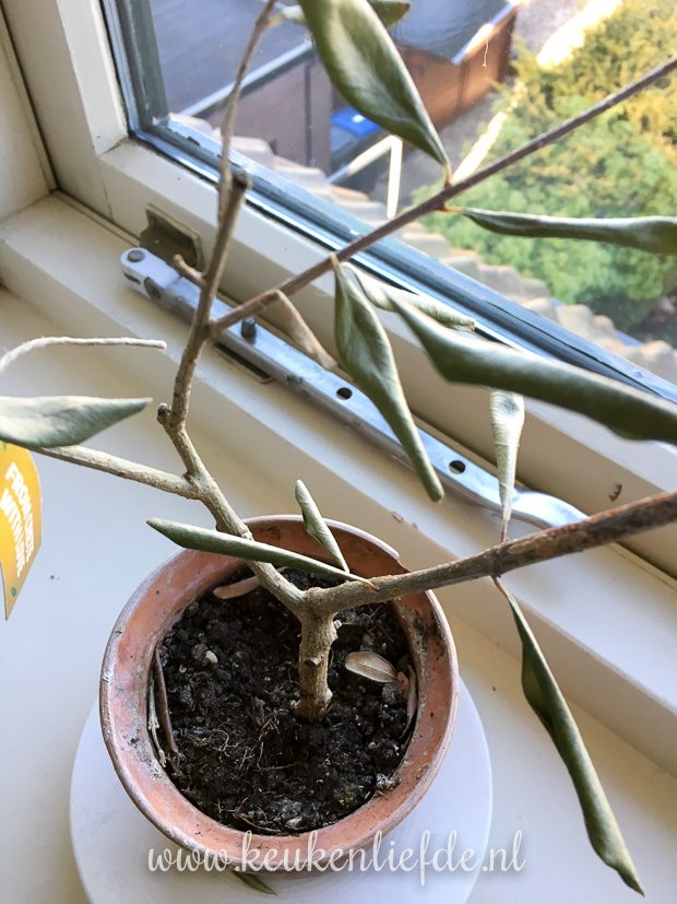 Een kijkje in de keuken week 17