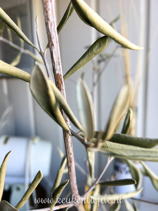 Een kijkje in de keuken week 17