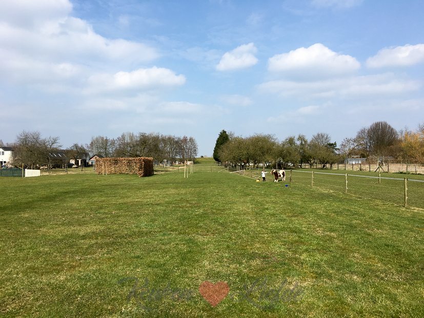 Een kijkje in de keuken week 12