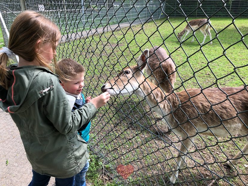 Een kijkje in de keuken week 19