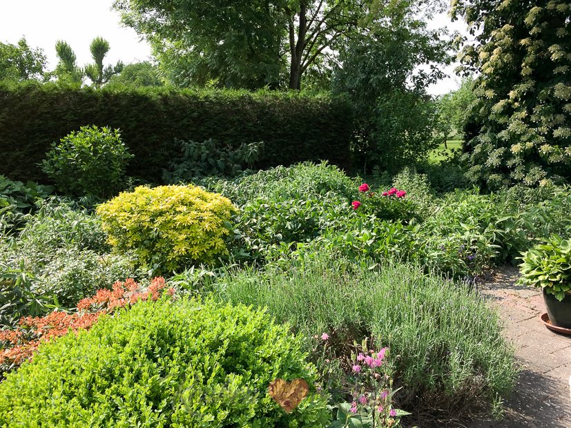 Een kijkje in de keuken week 21