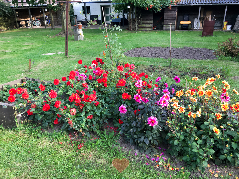 Een kijkje in de keuken week 37