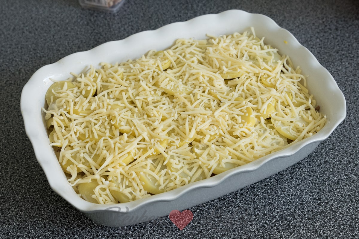 Witlof-ovenschotel met spekjes en roomsaus