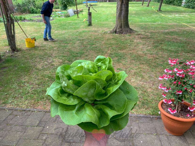 Een kijkje in de keuken week 21-2019