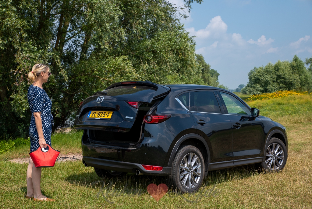 3x heerlijk sandwich recept