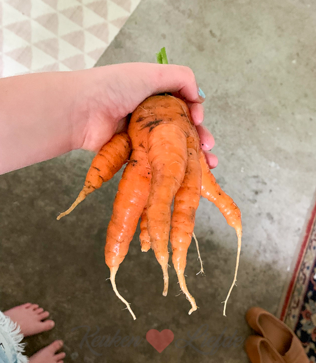 Een kijkje in de keuken week 32-2019