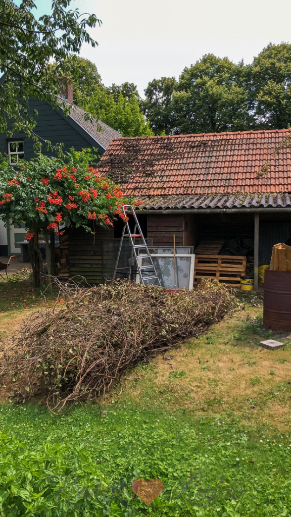 Een kijkje in de keuken week 31-2019 Een kijkje in de keuken week 31-2019