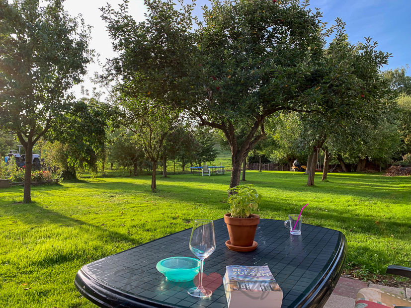 Een kijkje in de keuken week 37-2019 Een kijkje in de keuken week 37-2019