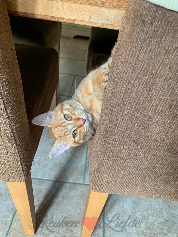 Een kijkje in de keuken week 37-2019 Een kijkje in de keuken week 37-2019