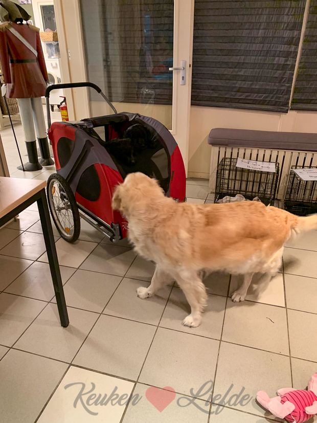 Een kijkje in de keuken week 39-2019