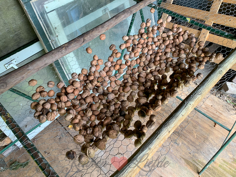 Een kijkje in de keuken week 39-2019 Een kijkje in de keuken week 39-2019