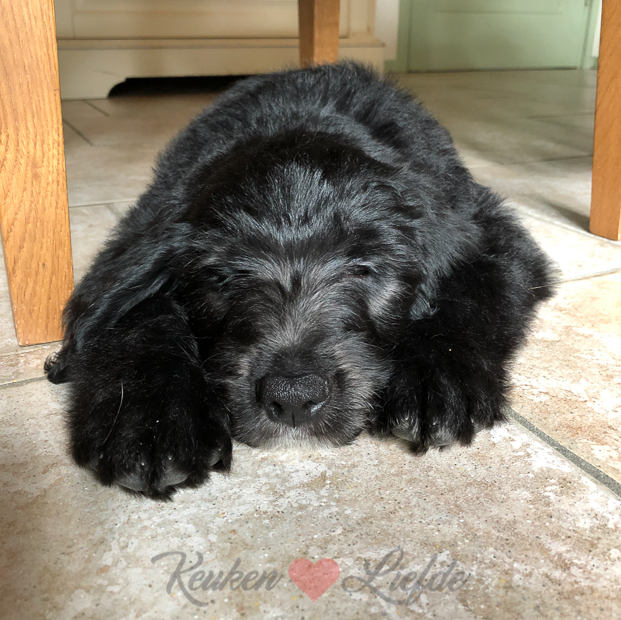 Een kijkje in de keuken week 40-2019