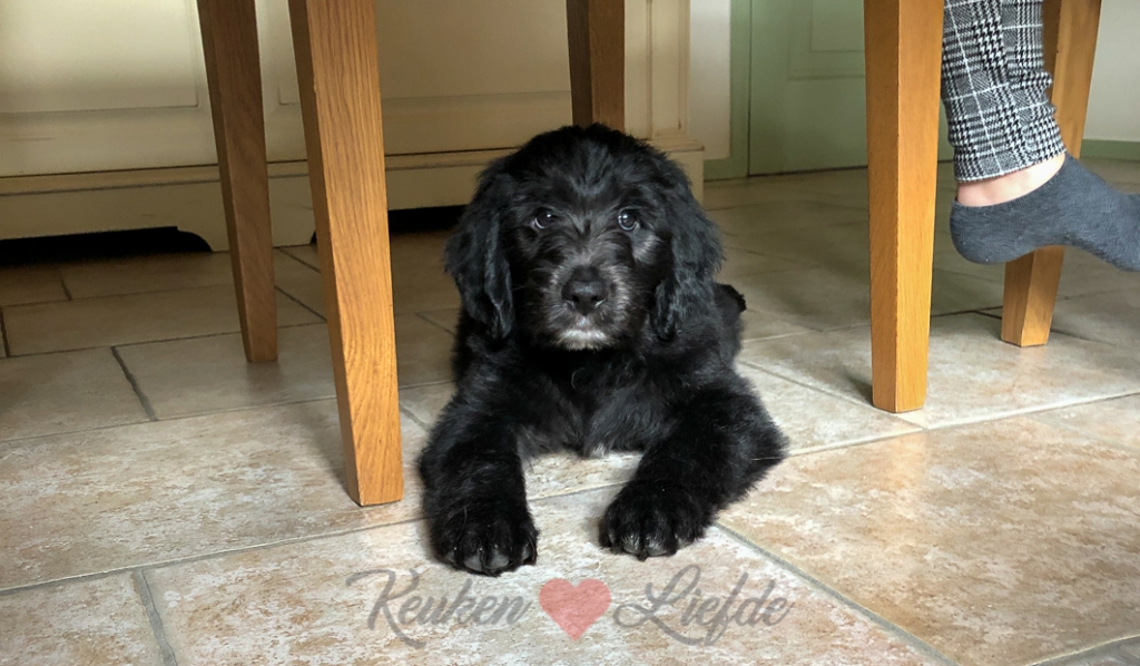 Een kijkje in de keuken week 40-2019