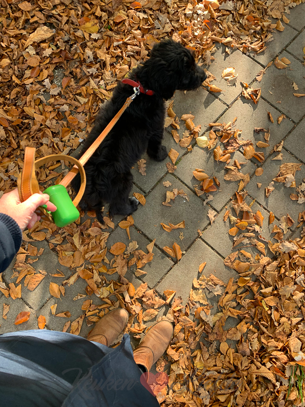 Een kijkje in de keuken week 44-2019