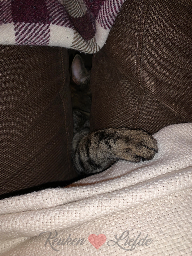 Een kijkje in de keuken week 48-2019