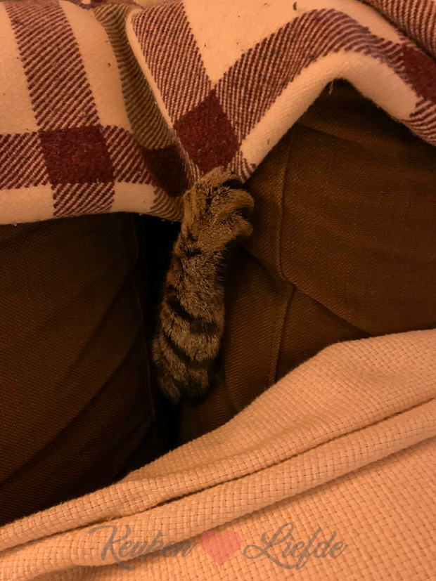 Een kijkje in de keuken week 48-2019