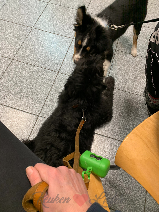 Een kijkje in de keuken week 48-2019