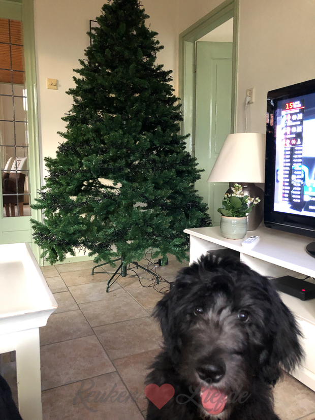 Een kijkje in de keuken week 48-2019