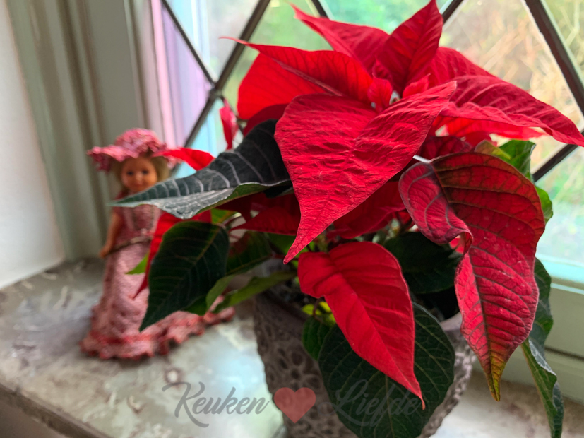 Een kijkje in de keuken week 49-2019