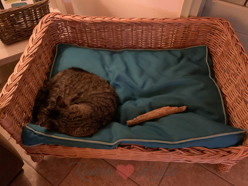 Een kijkje in de keuken week 50-2019