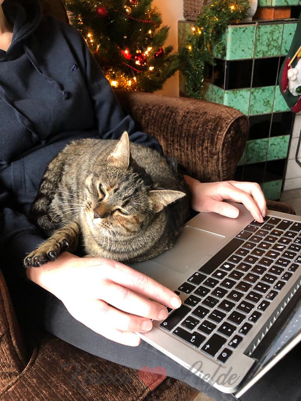 Een kijkje in de keuken week 1-2020 Een kijkje in de keuken week 1-2020