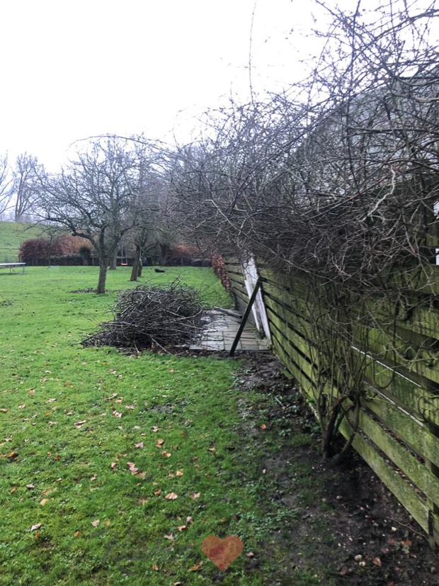 Een kijkje in de keuken week 2-2019