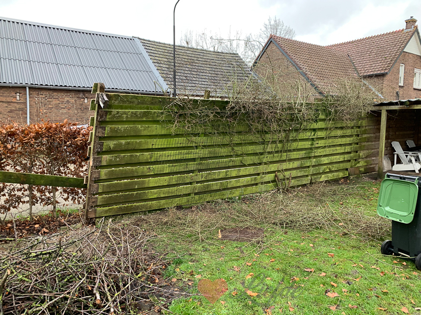 Een kijkje in de keuken week 2-2019