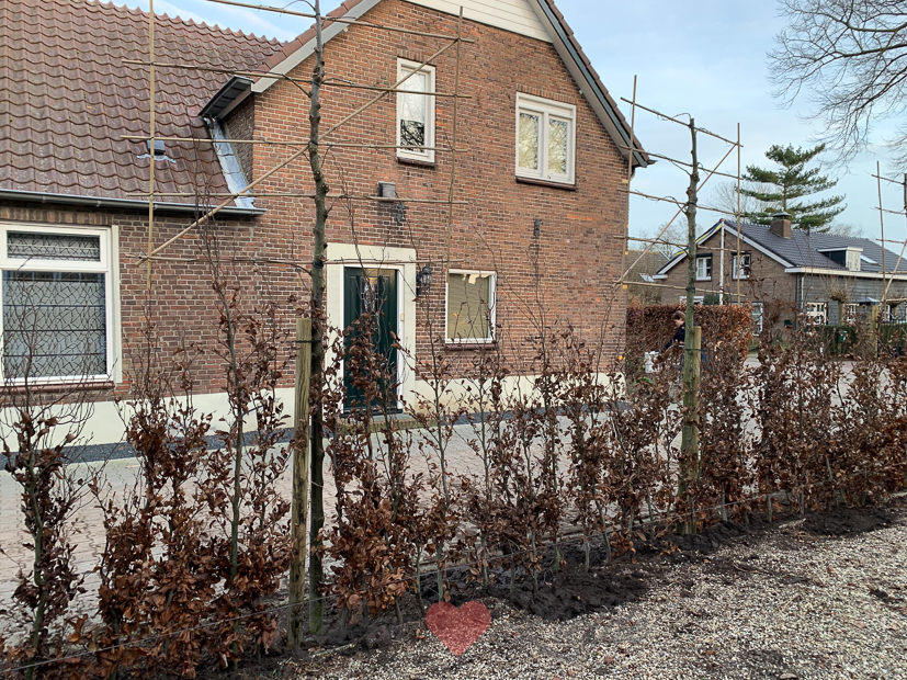 Een kijkje in de keuken week 2-2019 Een kijkje in de keuken week 2-2019