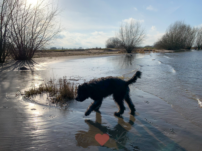 Een kijkje in de keuken week 2-2019