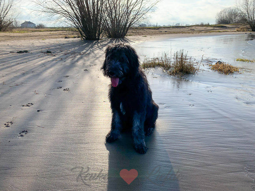 Een kijkje in de keuken week 2-2019