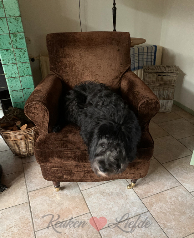 Een kijkje in de keuken week 2-2019 Een kijkje in de keuken week 2-2019