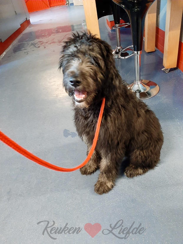 Een kijkje in de keuken week 3-2020 Een kijkje in de keuken week 3-2020