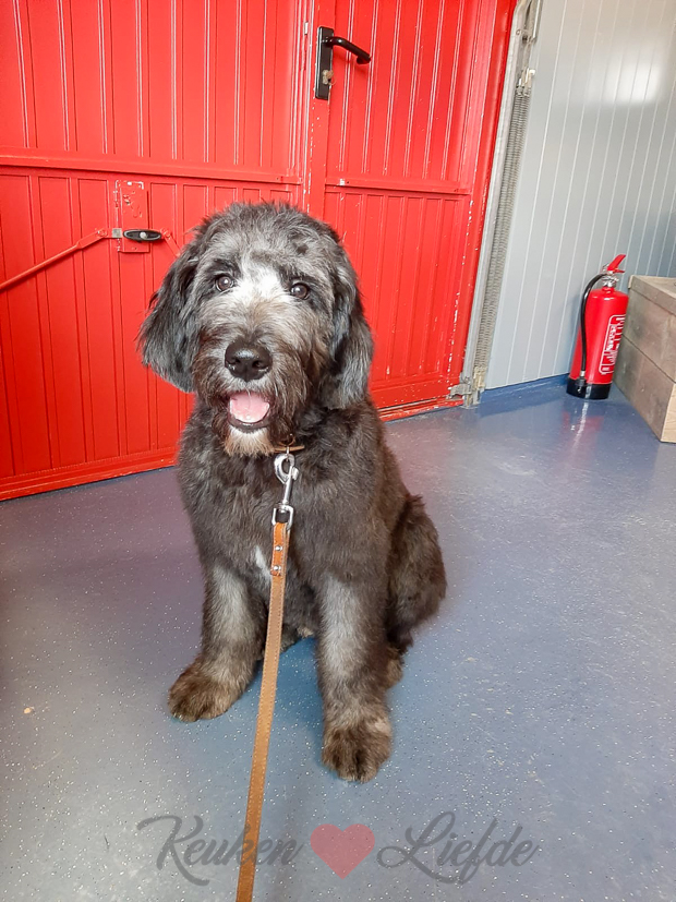 Een kijkje in de keuken week 3-2020 Een kijkje in de keuken week 3-2020