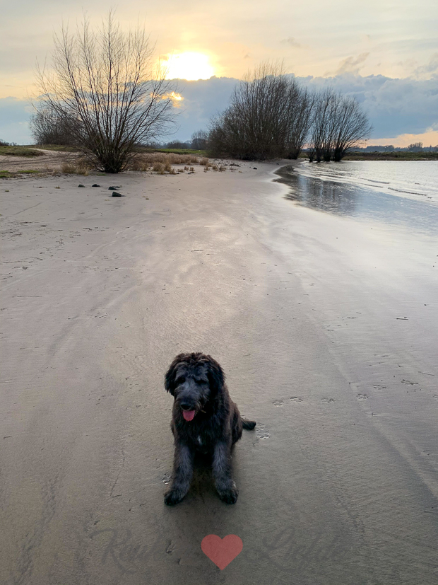 Een kijkje in de keuken week 3-2020