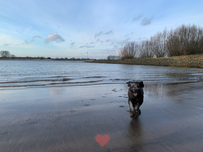 Een kijkje in de keuken week 3-2020