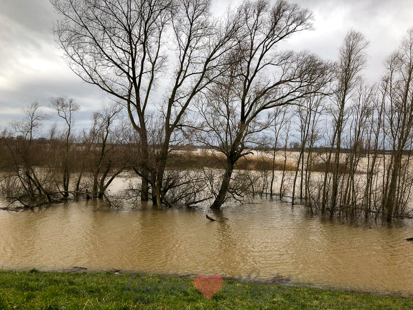 Een kijkje in de keuken week 6-2020