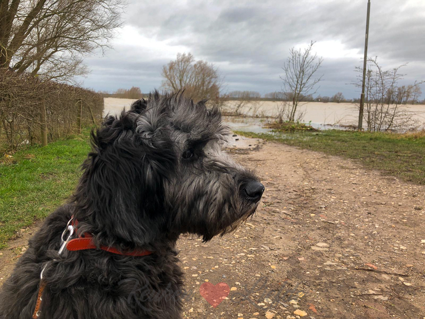 Een kijkje in de keuken week 6-2020