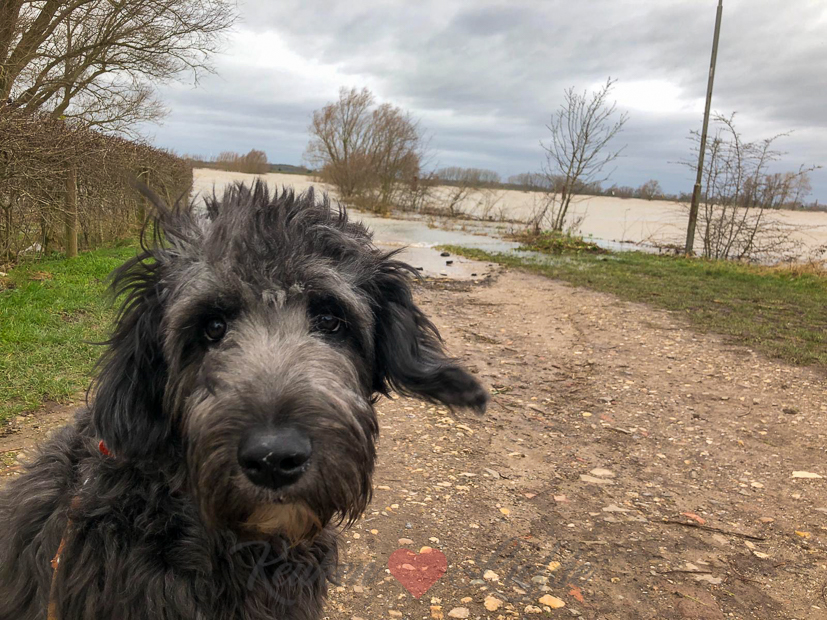 Een kijkje in de keuken week 6-2020