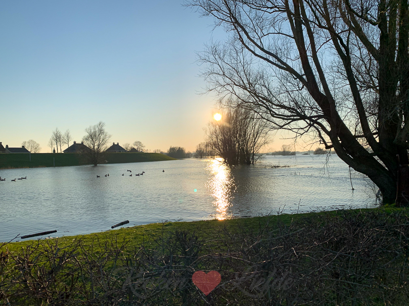 Een kijkje in de keuken week 6-2020