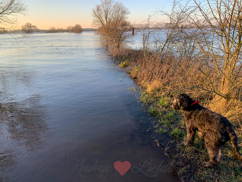 Een kijkje in de keuken week 6-2020