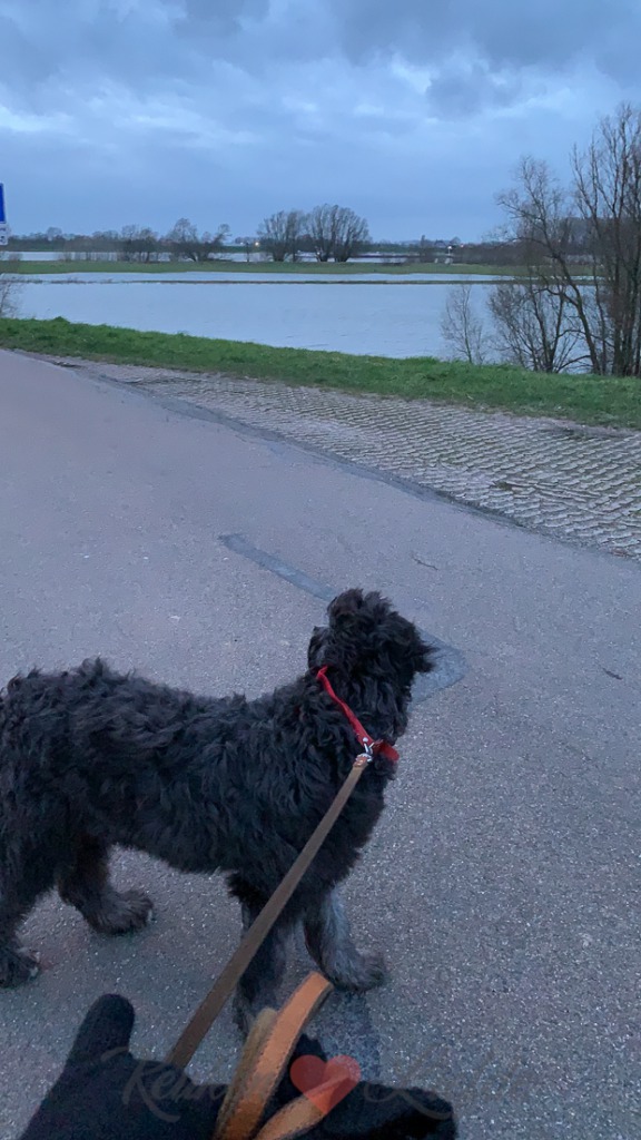 Een kijkje in de keuken week 8-2020 Een kijkje in de keuken week 8-2020