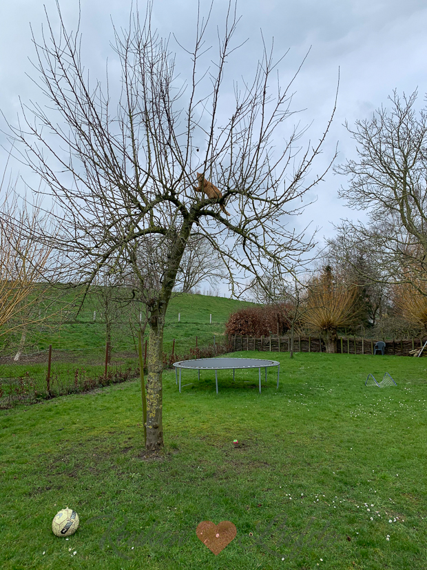 Een kijkje in de keuken week 10-2020