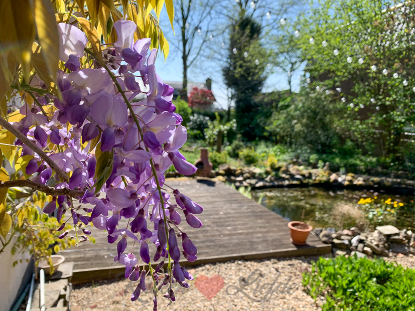Een kijkje in de keuken week 16-2020