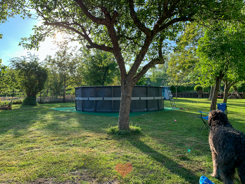 Een kijkje in de keuken week 19-2020