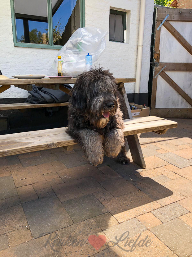 Een kijkje in de keuken week 19-2020