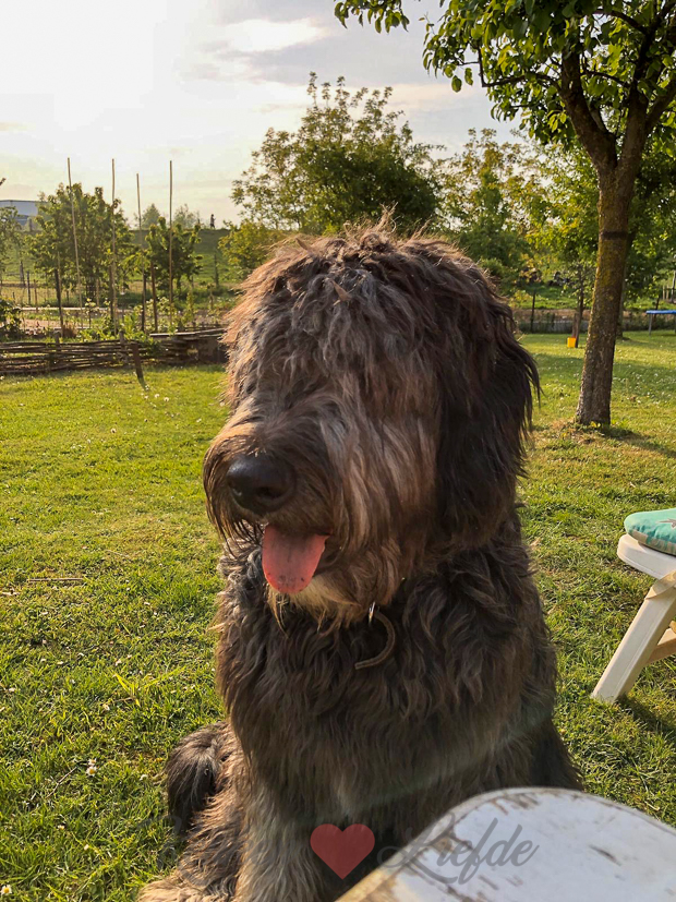 Een kijkje in de keuken week 19-2020