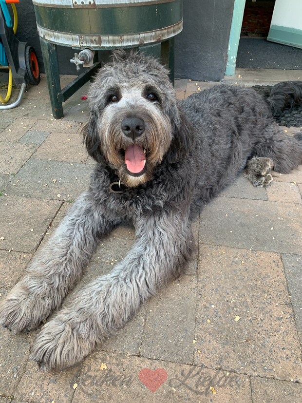 Een kijkje in de keuken week 22-2020 Een kijkje in de keuken week 22-2020